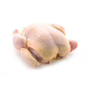 raw broiler chicken